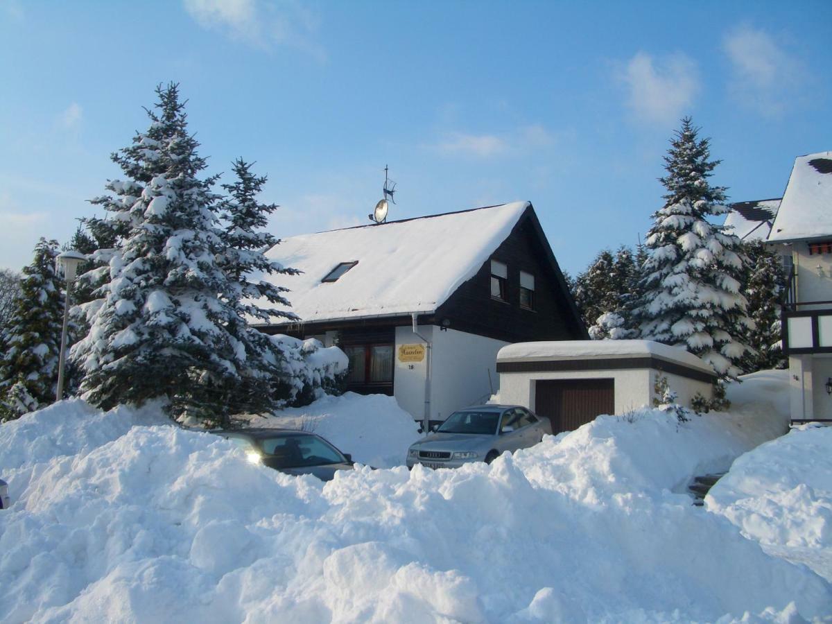 Haus Hannelore Willingen  Buitenkant foto